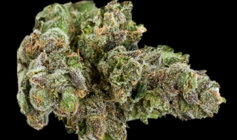 A sample of G6 #3 from Medicine Man, a Colorado marijuana shop. (Provided by Medicine Man)